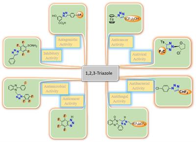 Fluorinated triazoles as privileged potential candidates in drug development—focusing on their biological and pharmaceutical properties